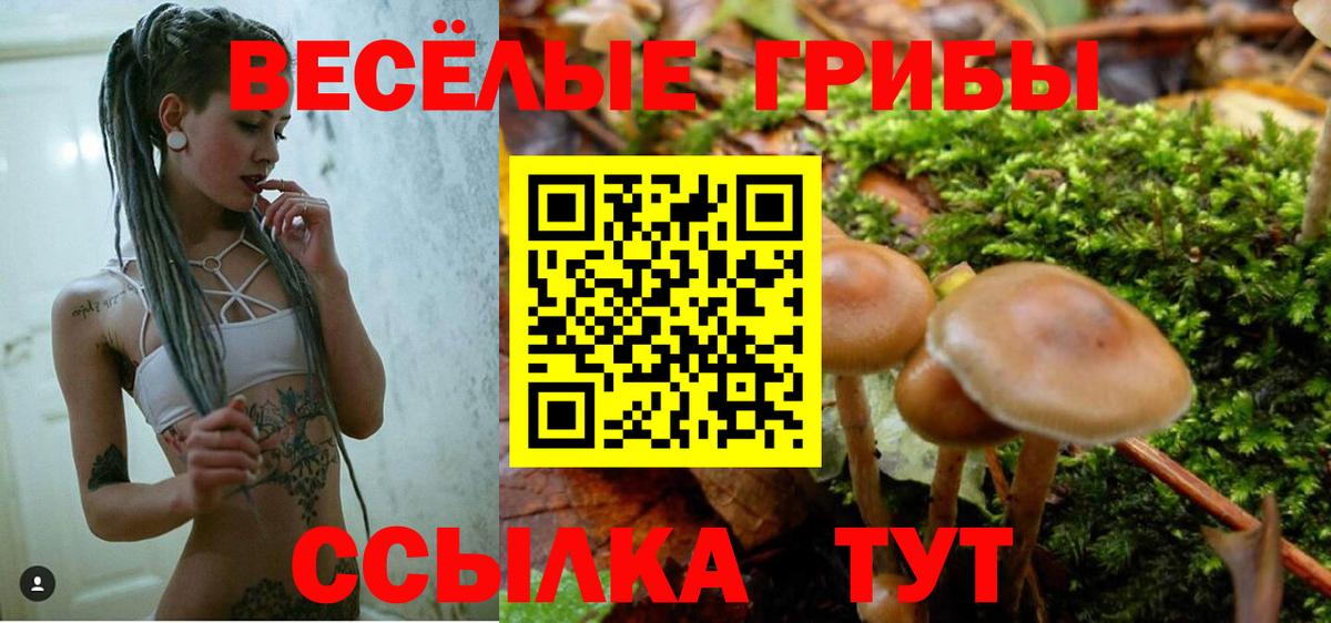 Галлюциногенные грибы Psilocybe  Псилоцибиновые грибы Magic Shrooms  Ярцево  Вход с VPN 